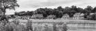 Boathouse Row (b/w)