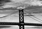 Benjamin Franklin Bridge (b/w)