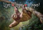 Live Love Hang