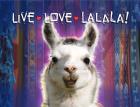Live Love Lalala