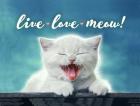 Live Love Meow