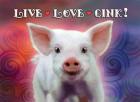 Live Love Oink