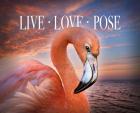 Live Love Pose