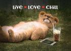 Live Love Chill