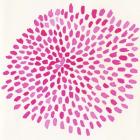 Pink Burst