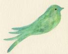 Pajaro Verde