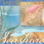 Seashells I