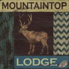 Mountain Lodge