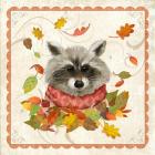 Fall Raccoon