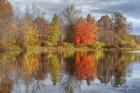 Colors On The Lake