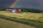 Ohio Farm Rainbow
