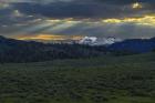 Lamar Valley Sunrise