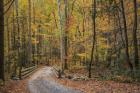 Greenbrier Bridge Path