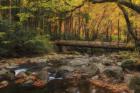 Greenbrier Bridge With Stream Watercolor