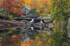 Grist Mill In The Fall