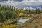 Gtnp Fall Color With Mountains