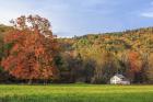 Little House In The Fall