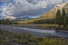 Soda Butte Creek Scenery (Yellowstone)