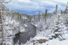Yellowstone Winter In Fall
