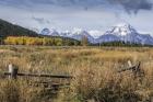 GTNP Scene Mt. Moran