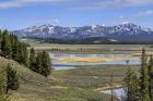 Hayden Valley (YNP)