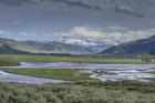 Lamar Valley (YNP)