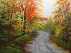 Autumn Road