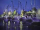 Purple Boats
