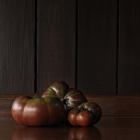 Tomatoes Still Life