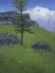 Lone Tree