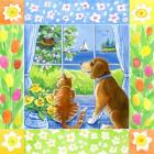 Spring Cat And Dog