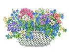 Phlox Basket