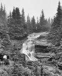 Waterfall Over Rock With Wildflowers