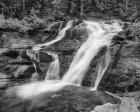 Water Rushing Over Rock Under Trees