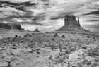 Monument Valley 5