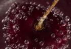 Marroon Fruit Closeup With Raindrops I