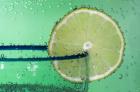 Margarita Glass And Lemon Closeup I