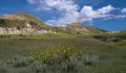 Wildflowers And Mountiains With Clouds