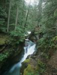 Daytime Falls And Mossy Greenery