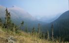 Blue Mountains And Plush Evergreens