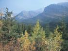 Blue Mountains And Fall Trees