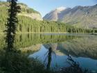 River Reflecting Evergreens