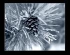 Ice Pine Cone 2