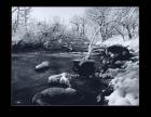 Buffalo River Snow