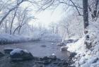 Buffalo River Snow 45