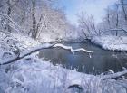Buffalo River Snow 41