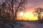 Sunset And Tree Silhouettes In Snow II