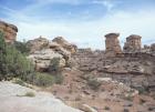 Canyonland 5