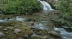 Glacier National Park Rushing Water 9