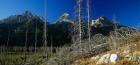 Grand Teton 8